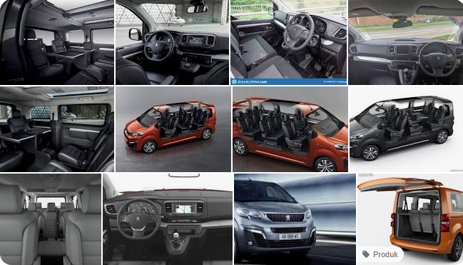 Peugeot Traveler Interior
