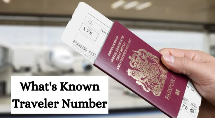How to Find Your Known Traveler Number Lookup and Enjoy Faster Airport Security (saveebtertainment.com)