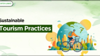 Role Of Tour Operators in Sustainable Tourism (enterclimate.com)