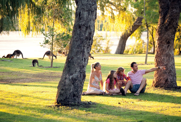 Yanchep National Park Perth Australia
