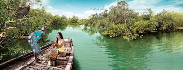 Sundarban - West Bengal Tourism Experience ( West Bengal Tourism)